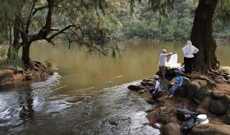 Family beside the Nepean River, Bents Basin State Conservation Area. Photo: John Yurasek