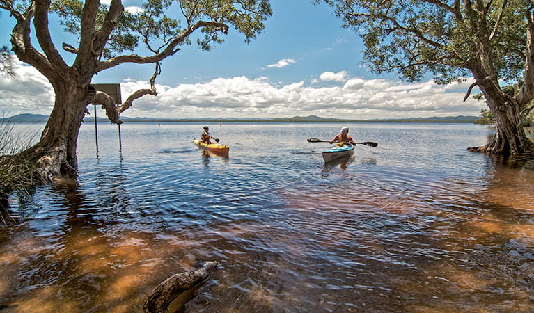 Kayaks on Myall Lake at Mungo Brush campground, Myall Lakes National Park. Photo: John Spencer/NSW Government