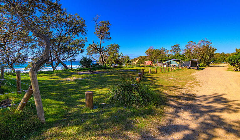 Campsites with tents in the distance surrounded by trees at Illaroo campground in Yuraygir National Park. Photo: Jessica Robertson &copy; DPIE