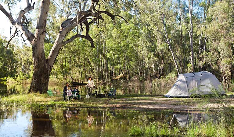Camping by the Murray River inMurray Valley National Park. Photo: David Finnegan/OEH