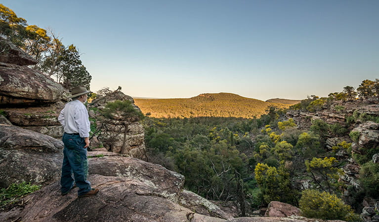 Scenic views from the walking track, Cocoparra National Park. Photo: John Spencer