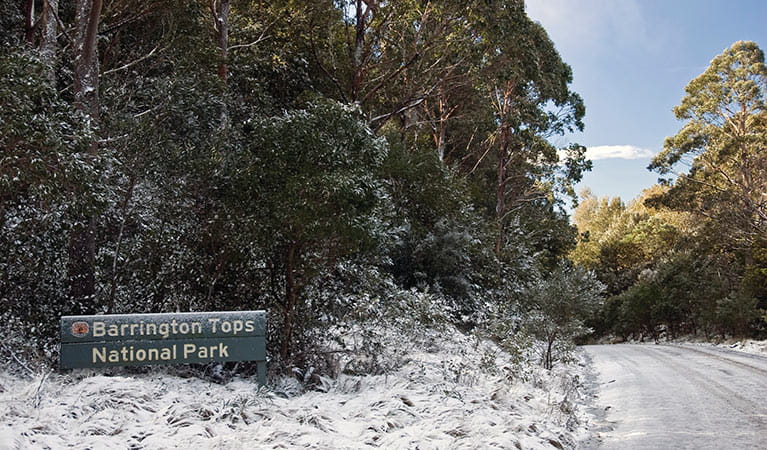 Snow-covered park entry in Barrington Tops National Park. Photo: Shane Ruming/DPIE
